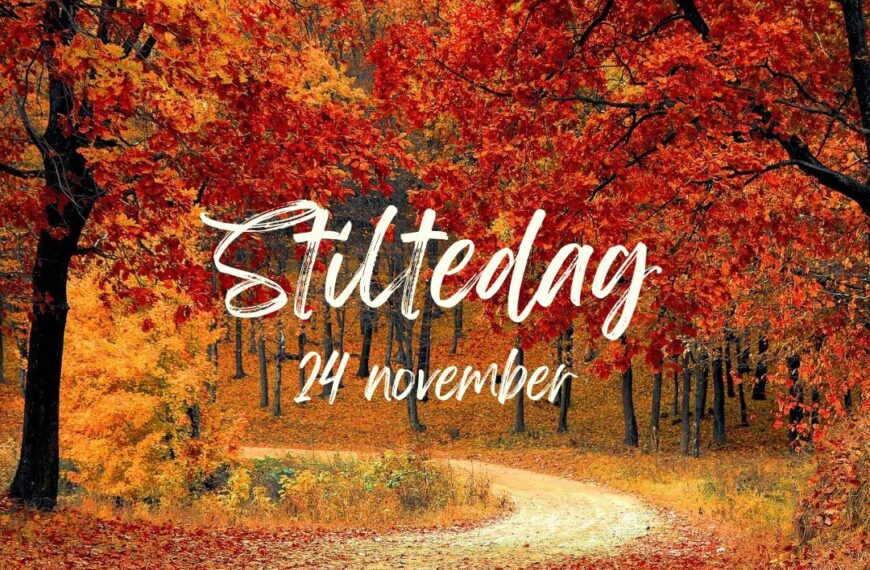 Stiltedag nov